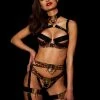 Honey Birdette AU Chastity Jaguar Bra & Garter Belt Set -Hot Sale Honey Birdette Store Chastity Bra Brief Suspender GarterSTRAPS Frontcopy2