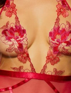 Honey Birdette Christine Red Bodysuit -Hot Sale Honey Birdette Store Christine Bodysuit Front ZOOMcopy