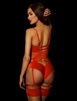 Honey Birdette AU Erica Corset Set -Hot Sale Honey Birdette Store Erica Bustier Garter Brief Backcopy