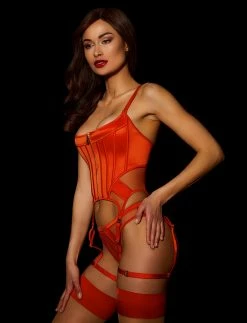 Honey Birdette Erica Corset -Hot Sale Honey Birdette Store Erica Bustier Garter Brief Sidecopy2