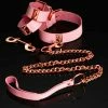 Honey Birdette Bondage Kit Blush -Hot Sale Honey Birdette Store HB 2021 Pink Bondage Cuffs Collar 77f6e87e 2336 436f a30e 0689ff9a0995