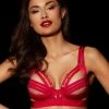 Honey Birdette Linda C Raspberry Bra -Hot Sale Honey Birdette Store LindaC Bra Front5copy