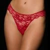 Honey Birdette Perla Red Vibrating Panty 2 Honey Birdette Perla Red Vibrating Panty -Hot Sale Honey Birdette Store REDPerla Front CROP