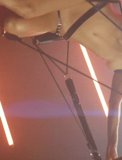 Honey Birdette Swing